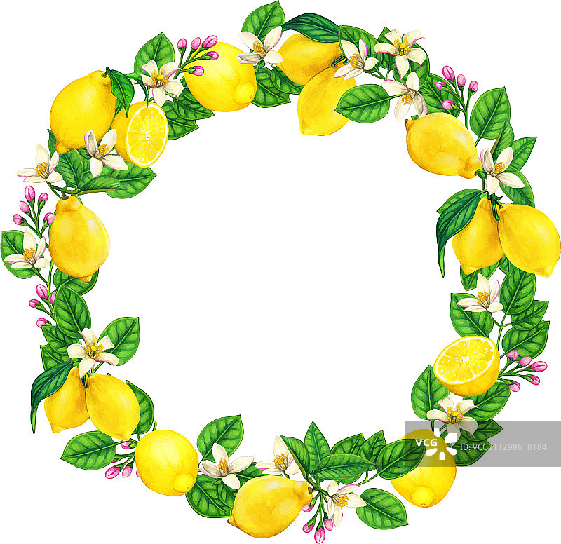 优雅水彩柠檬花环图片素材