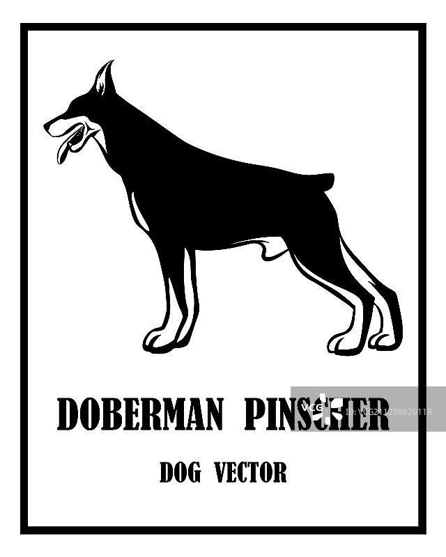 杜宾犬狗 EPS 10图片素材