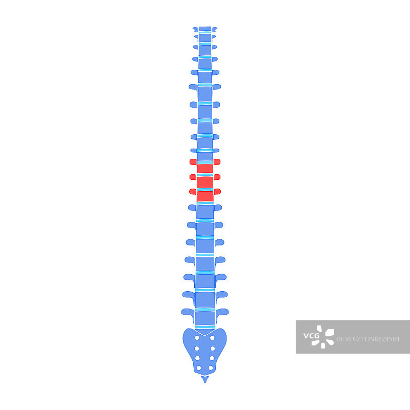 人体脊柱疼痛图片素材