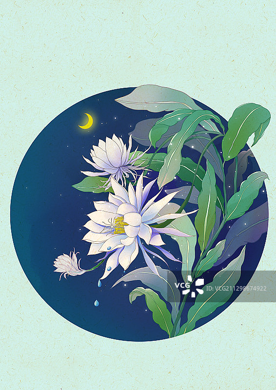 中国风24节气插画图片素材