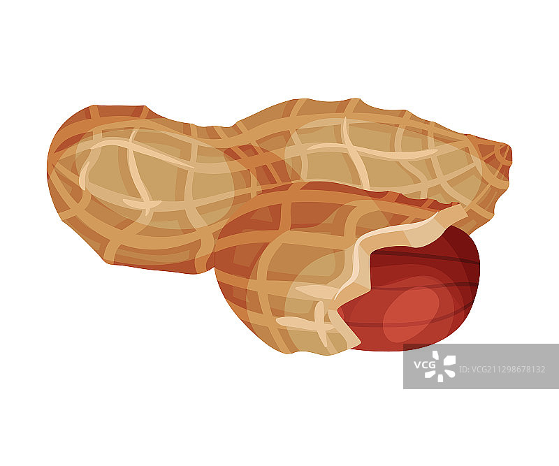 带壳花生仁白色背景图片素材