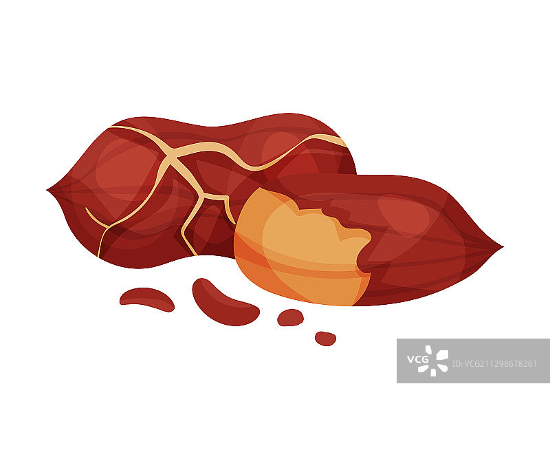 白色背景去皮花生仁图片素材