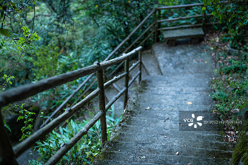 东天目山上的林间小道图片素材
