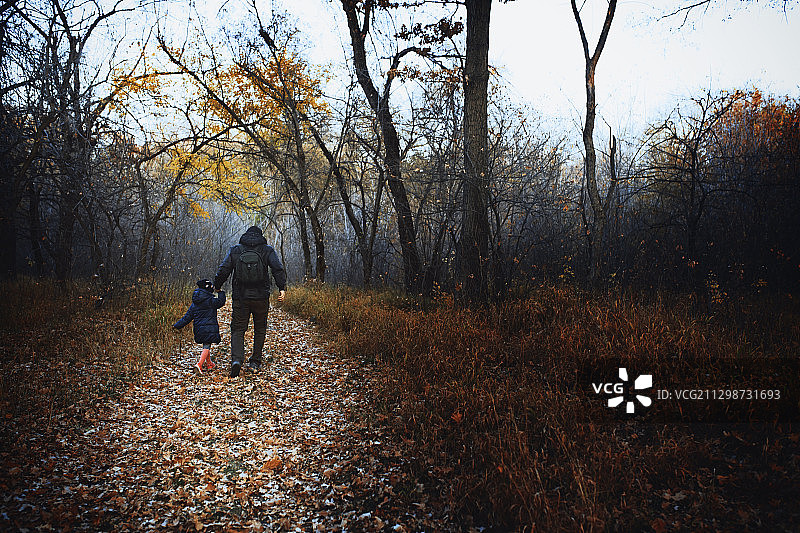 父女在秋季森林中散步图片素材