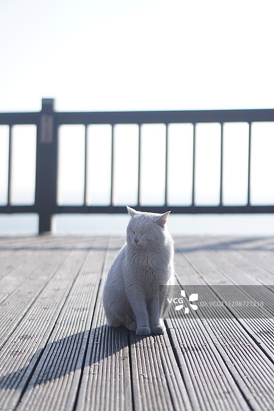 大连记忆/眯图片素材