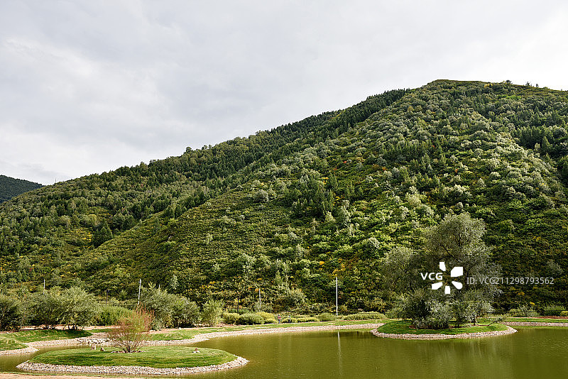 2020年9月13日拍摄的河北省张家口市崇礼区坝上秋景。图片素材