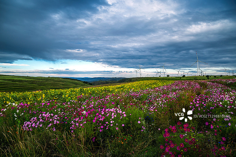 草原崇礼+河北省张家口市崇礼图片素材