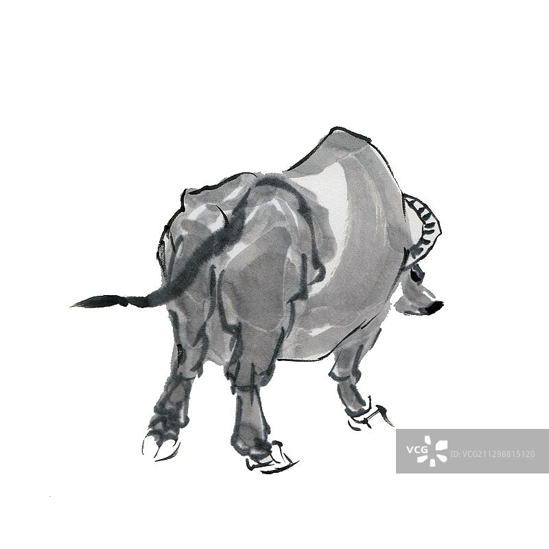 水墨插画牛图片素材