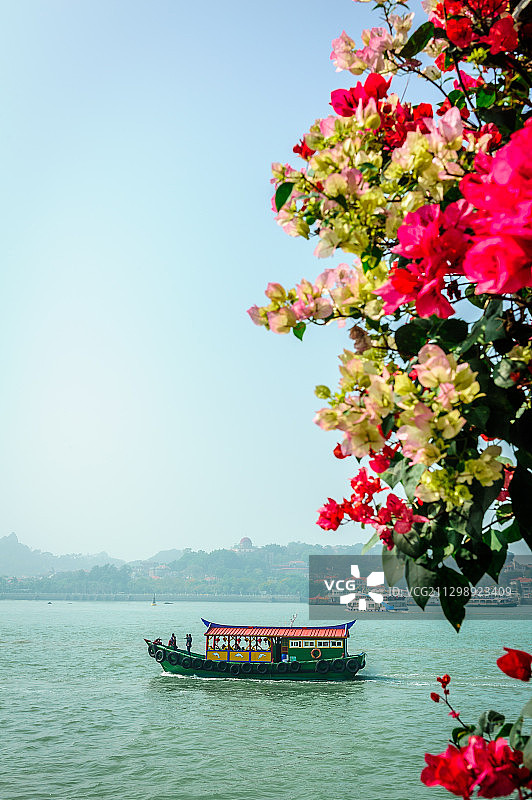 鹭江春早图片素材