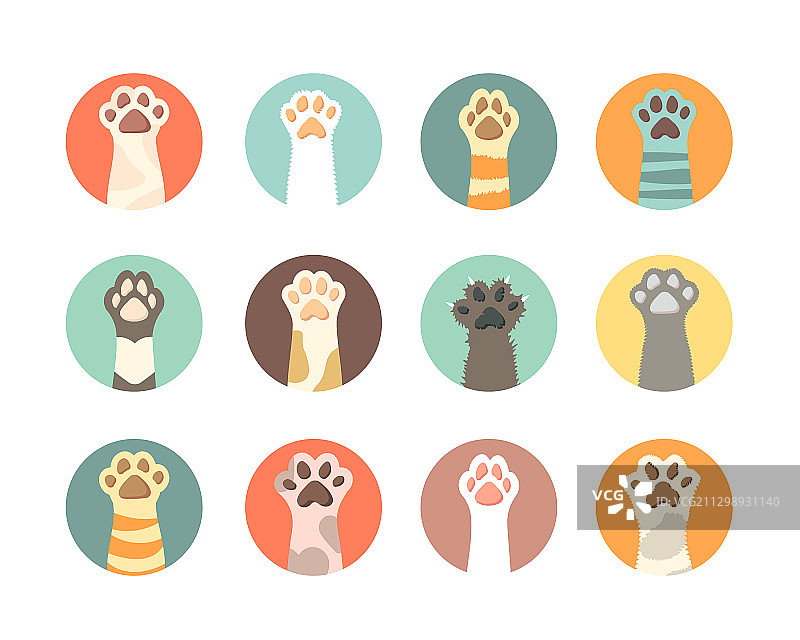 猫爪收集家养动物手图片素材