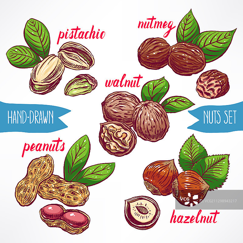 彩色坚果素材图片素材