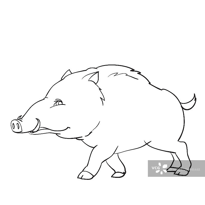 野生动物野猪轮廓绘画着色图片素材