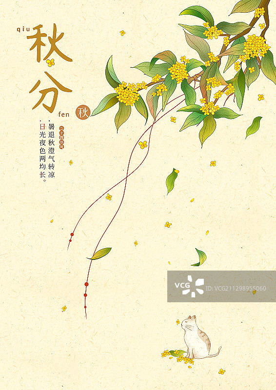 中国风24节气秋分海报图片素材