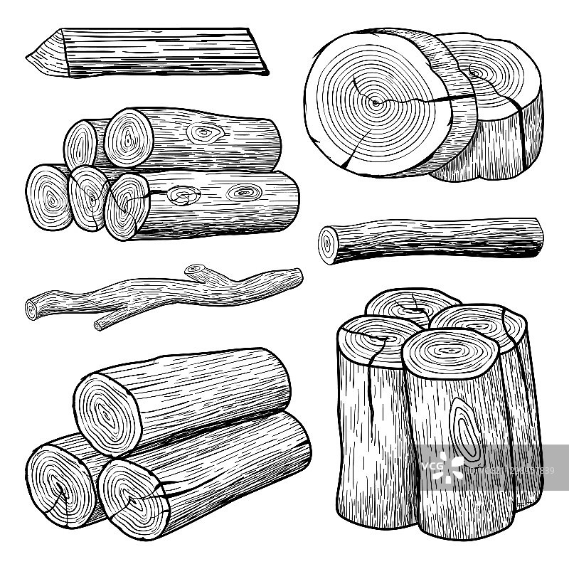 手绘素描树干素材图片素材