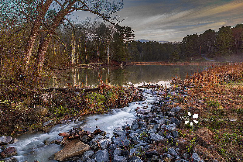 美国弗里波特森林河流的壮丽景色图片素材