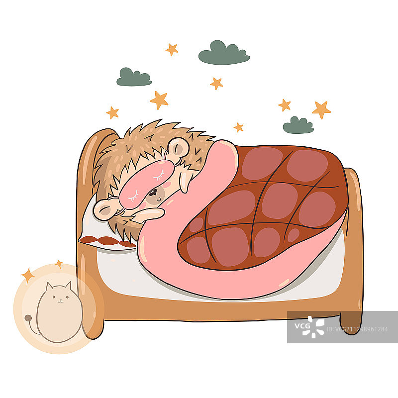 在床上睡觉的刺猬（白色背景）图片素材