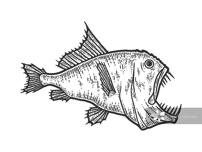 深海掠食鱼类生物速写图片素材