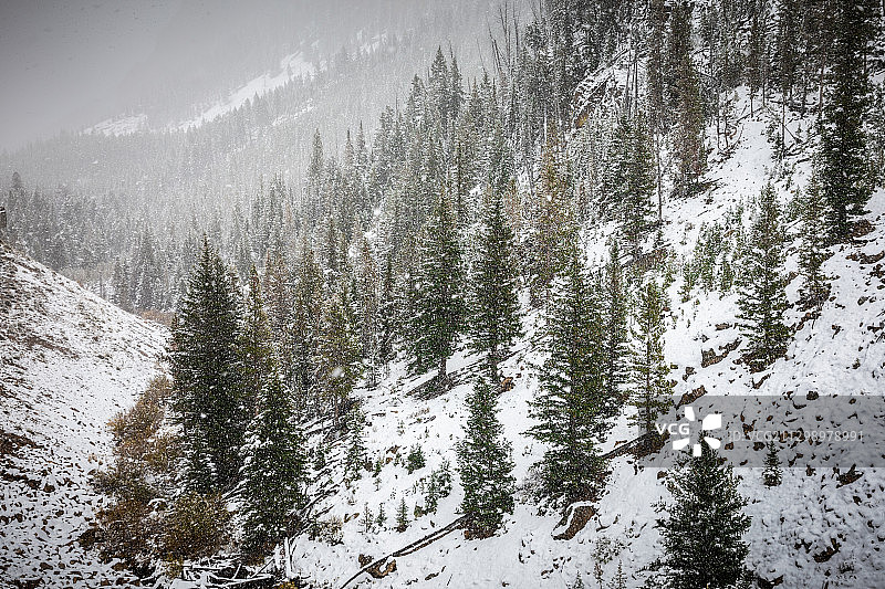 西黄石雪景风光，美国图片素材