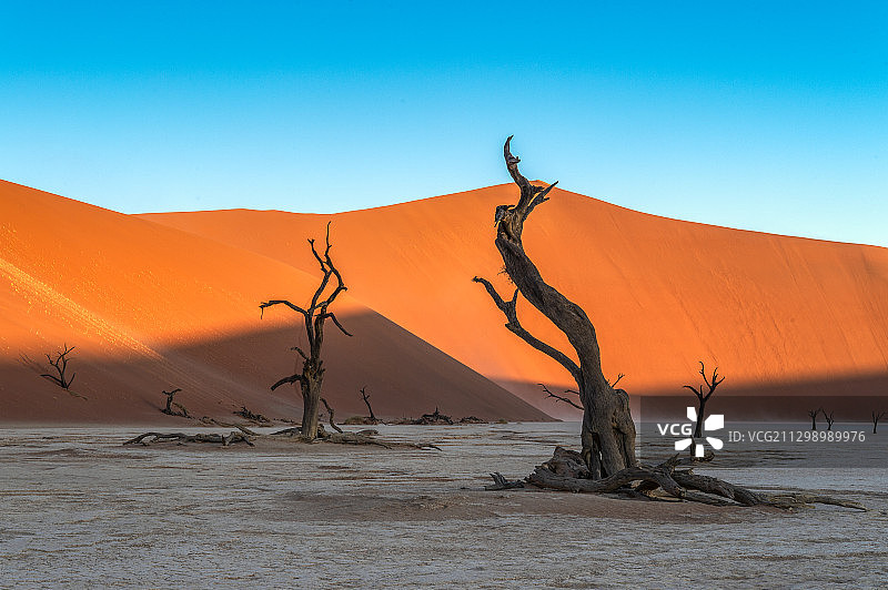 纳米比亚马尔塔赫的沙漠景色图片素材