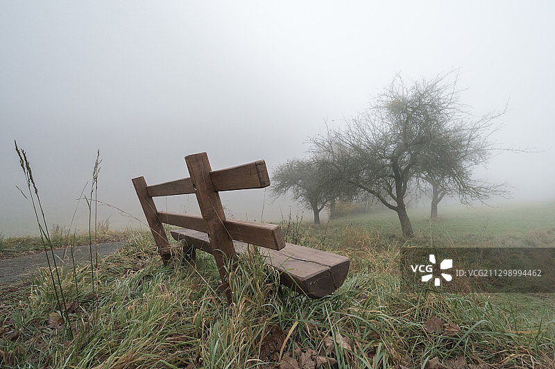 德国赖希尔斯海姆雾天天空下的田野树木图片素材