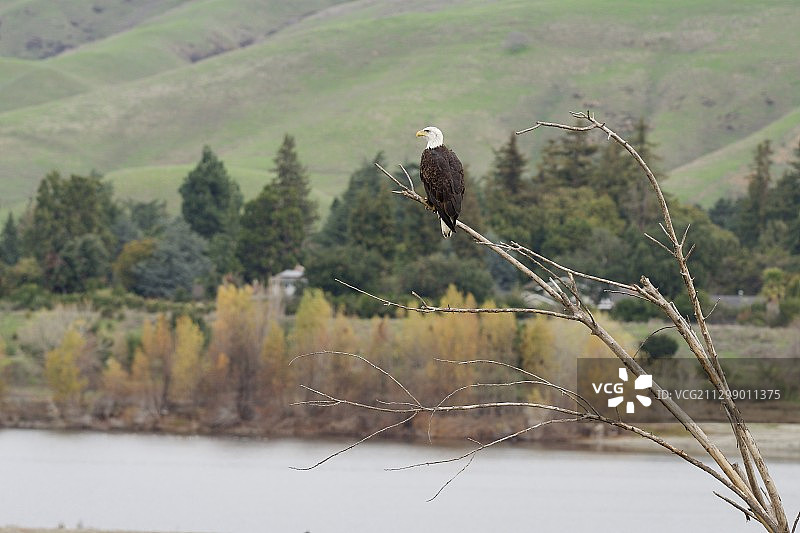 美国联合市的田野风光图片素材