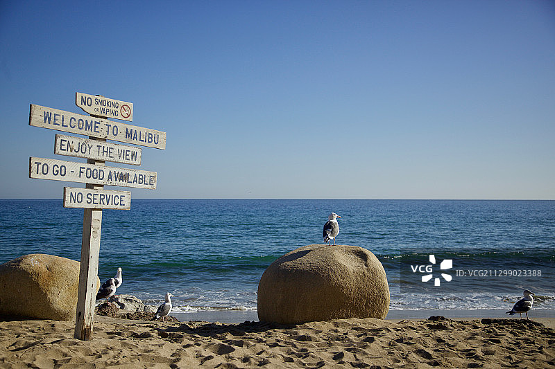 站在海滩上，背景是晴朗的天空，美国马里布图片素材