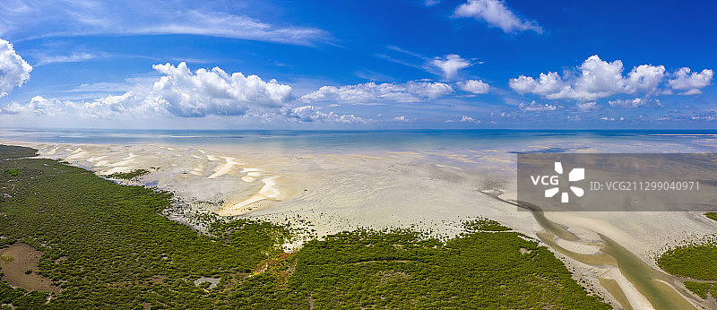 航拍北海滨海湿地公园红树林图片素材