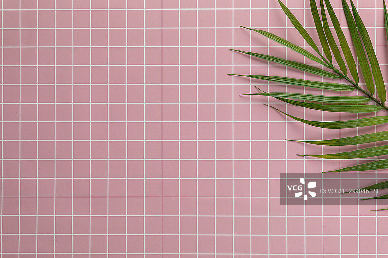 俯视粉红色小清新方格条纹静物场景背景素材图正上方视角叶子图片素材