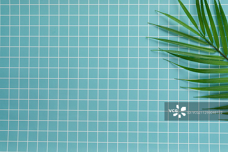 俯视青色小清新方格条纹静物场景背景素材图正上方视角叶子图片素材