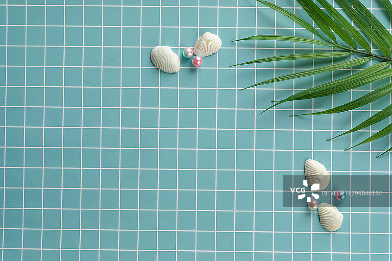 俯视青色小清新方格条纹静物场景背景素材图贝壳珍珠装饰图片素材