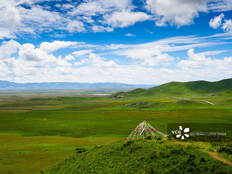 诺尔盖草原图片素材