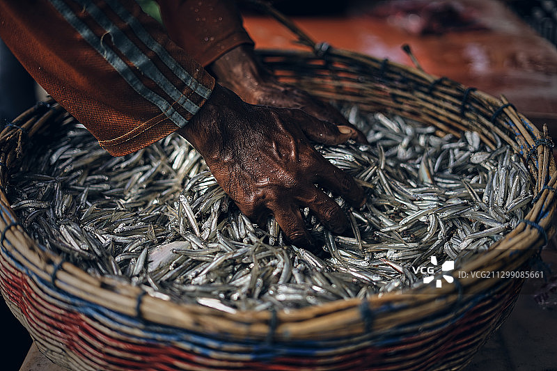手持鱼（印度尼西亚，班达亚齐）图片素材