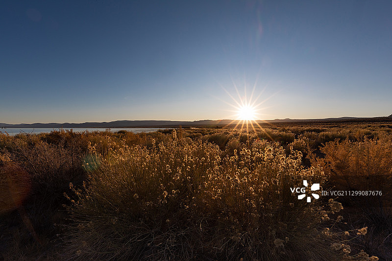 日落时美国猛犸湖的田野风景图片素材