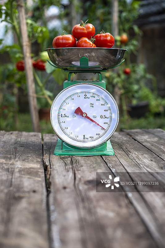 桌上西红柿旁的体重秤特写图片素材