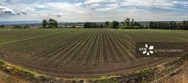 意大利莱西纳的田野风光图片素材