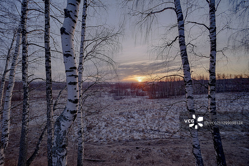 俄罗斯科斯特罗马日落时分的雪景图片素材