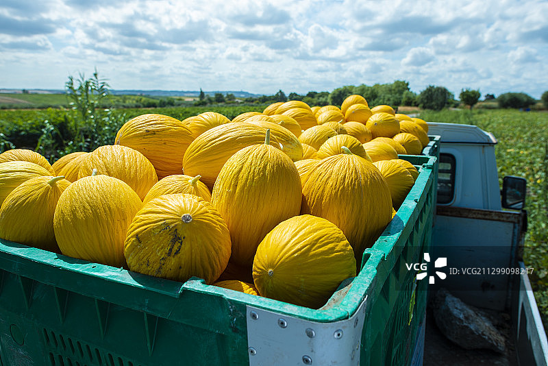 黄色水果特写图片素材