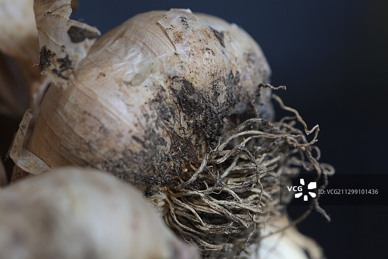 一堆新鲜采摘的大蒜图片素材