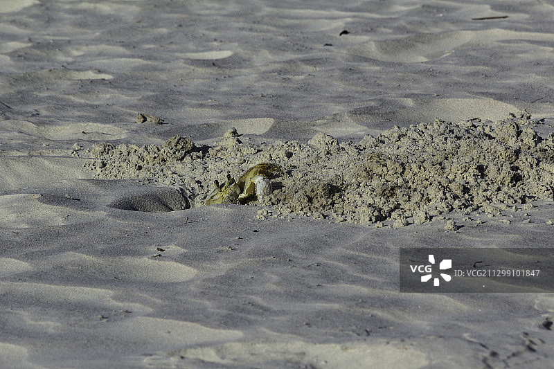 美国代托纳海滩，沙滩俯视图图片素材