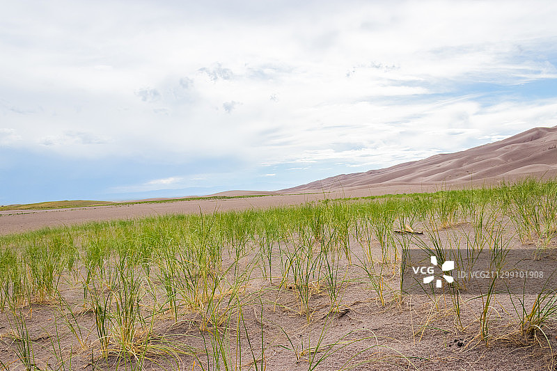 美国韦斯特克利夫的田野风光图片素材