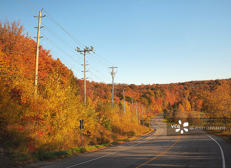 秋季加拿大格雷文赫斯特晴空下的道路树木图片素材