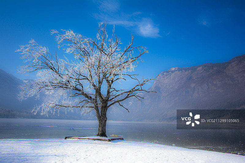 斯洛文尼亚博希尼伊斯卡比斯特里察冬季湖泊美景图片素材