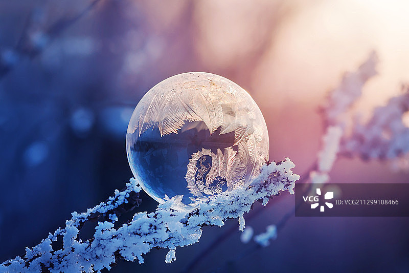 匈牙利明德圣特冰冻植物特写图片素材