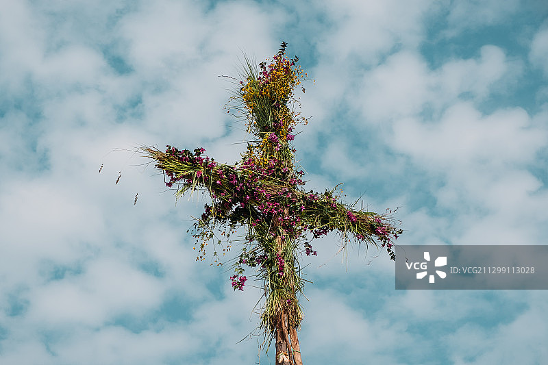 埃塞俄比亚阿克苏姆的开花植物的仰视角度图片素材