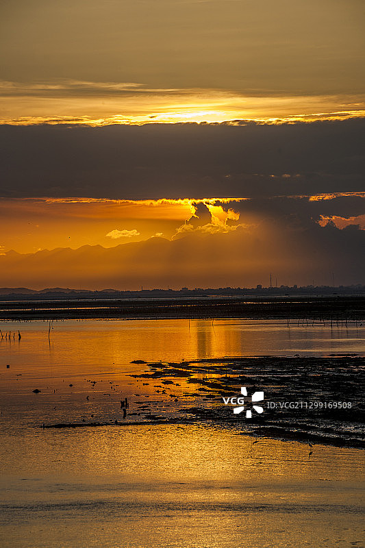 广西东兴京族万尾岛金色滩涂图片素材