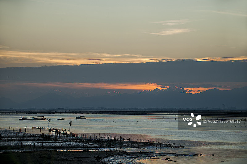 广西东兴京族万尾岛金色滩涂图片素材