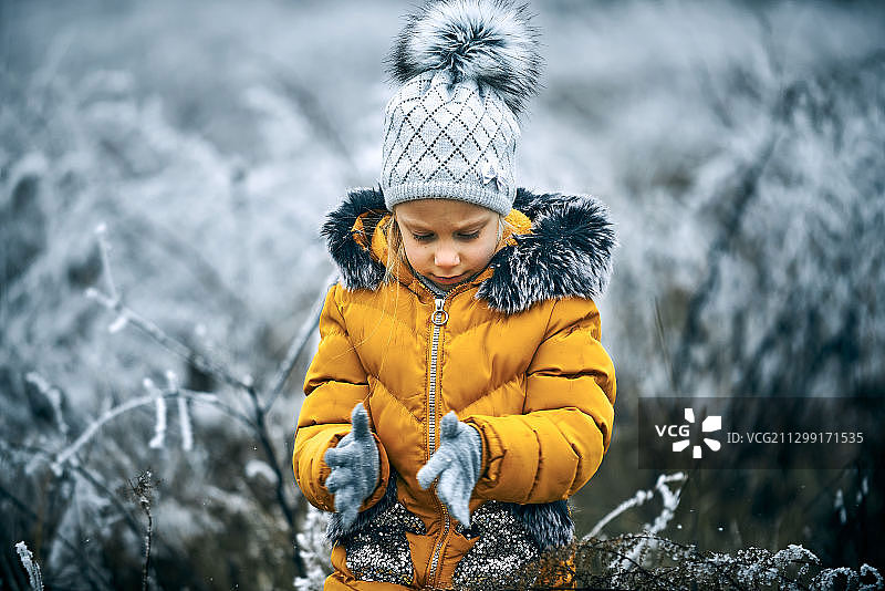 男孩在塞尔维亚苏博蒂察的森林里捡雪图片素材
