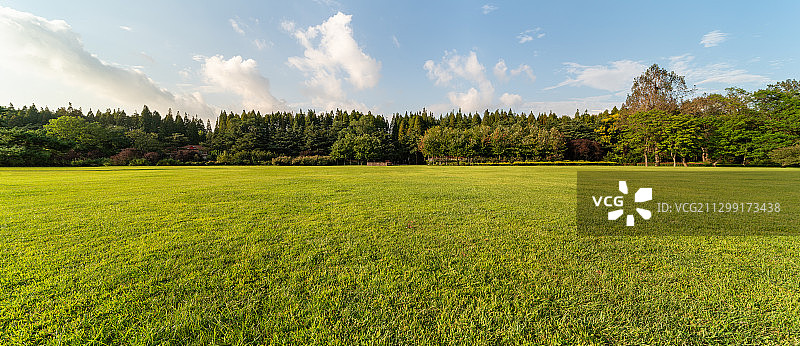 城市草地道路平台图片素材