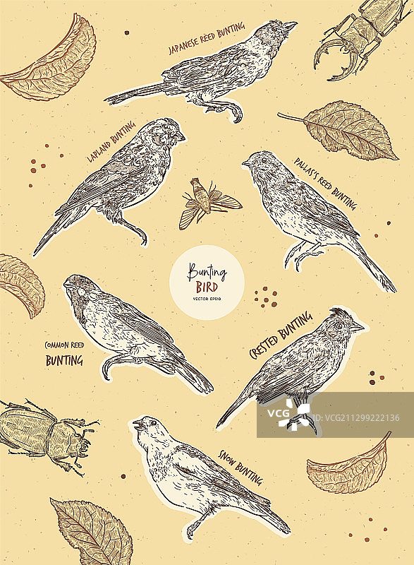 彩旗小鸟手绘草图套装图片素材