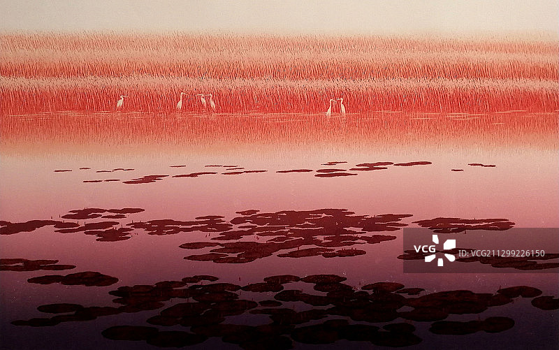 套色木刻版画《荷塘私语》图片素材